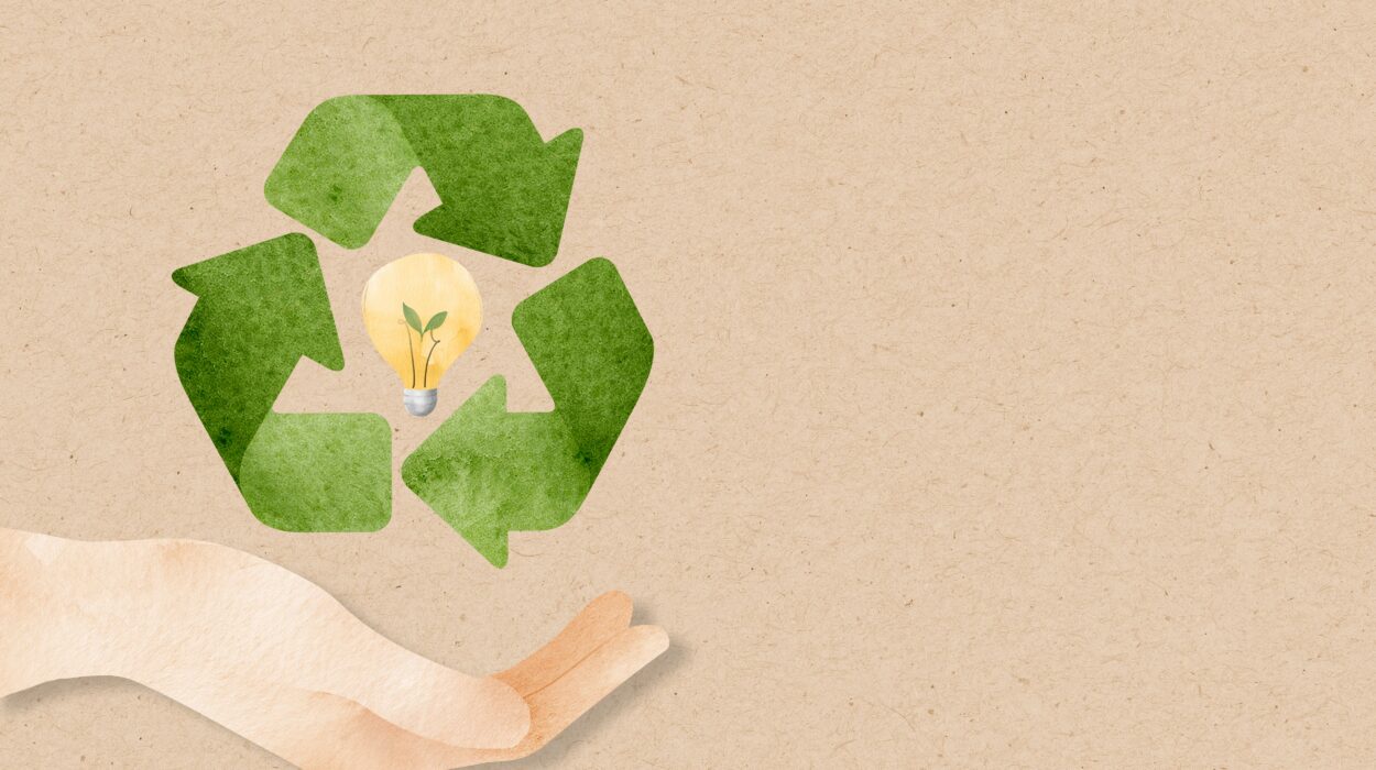 Développement durable